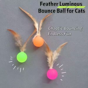 Jumping Feather Ball Toy for Cats